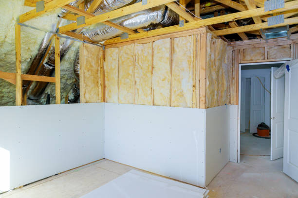 Best Insulation Maintenance and Repair in Ozona, TX