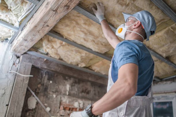 Best Insulation for Specific Applications in Ozona, TX